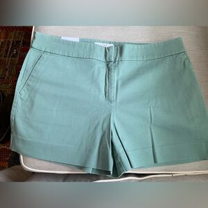 LOFT Women's Mint Green Bermudas